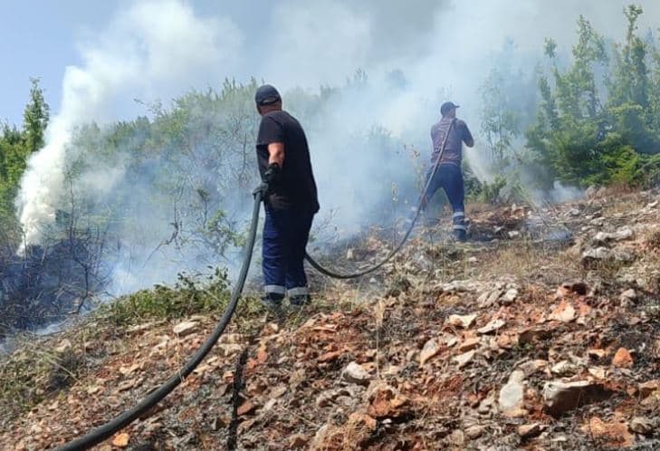 Featured image for 14 vatra zjarri në Shqipëri gjatë 10 orëve të fundit, 7 ende aktive – ndërhyrje me zjarrfikës, helikopter dhe avion