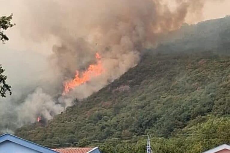 Featured image for Zjarre masive në Ulqin dhe Herceg Novi