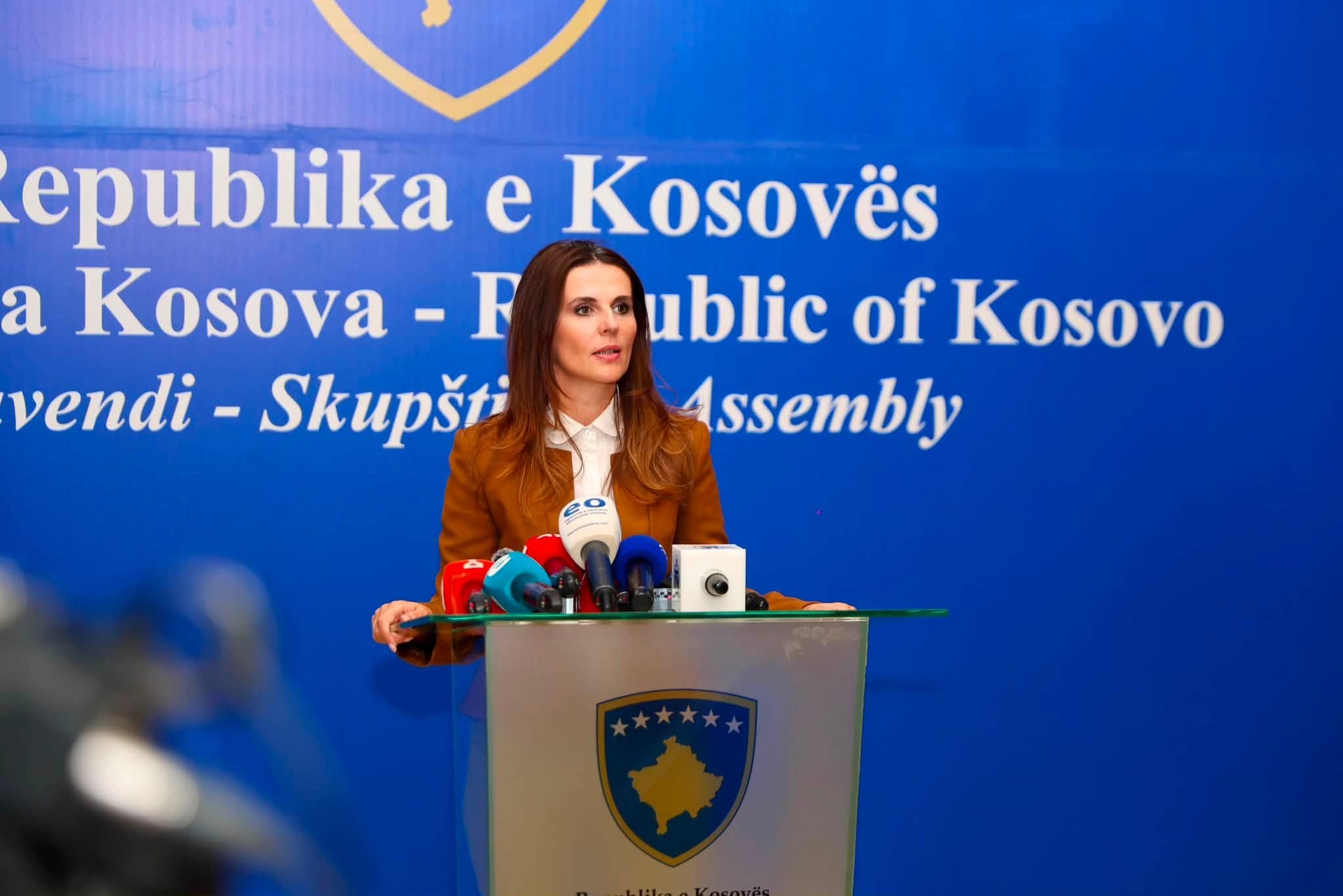 ‘‘S’është normale shkelja e vetëdijshme e Kushtetutës’’, Çitaku: Demokracia s’matet vetëm me votën që e fiton