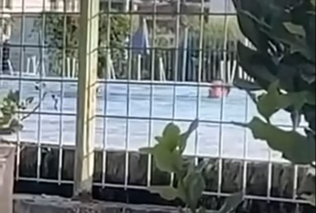 Publikohet një video e Kurtit duke notuar në një pishinë të Bajë të Malishevës, Musliu: Ky është realiteti i pushtetit që pretendon se është pranë qytetarëve