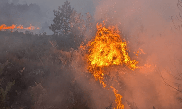 Featured image for Zjarret në Shqipëri, pesë vatra ende mbesin aktive
