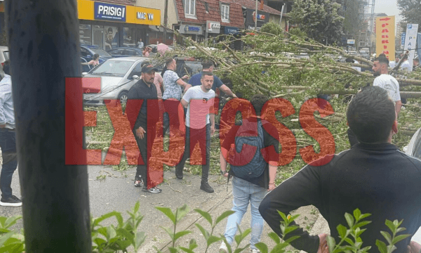 Featured image for Katastrofë në Prishtinë, rrëzohen shtyllat dhe lisat, një person i vdekur (FOTO)