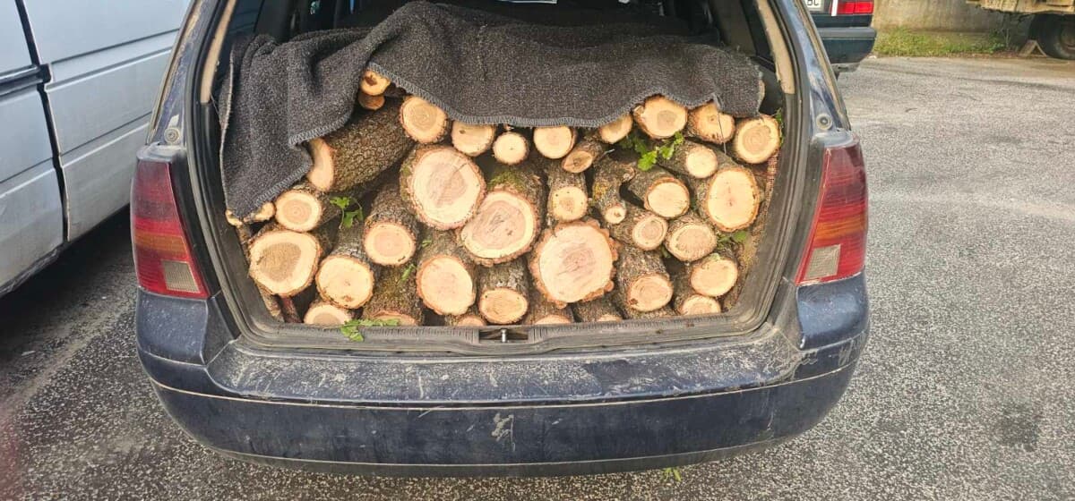 Dyshohet se transportonin dru pa dokumentacion përkatës, arrestohen dy banorë të Bllacës