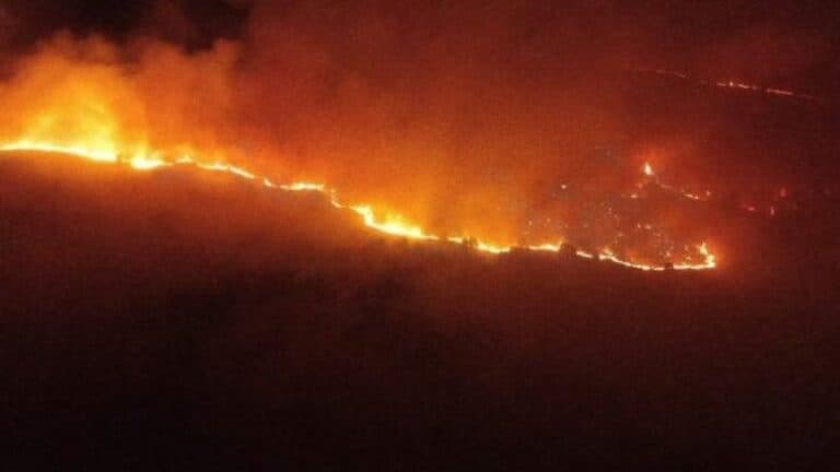 Zjarr masiv në Devoll, flakët përhapen me shpejtësi drejt Kapshticës