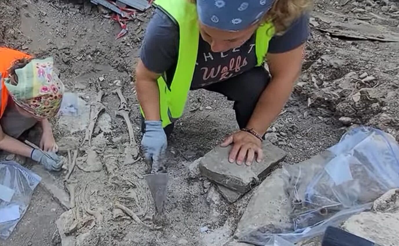 Zbulime arkeologjike në Kalanë e Gjirokastrës: Gjendet skeleti i një kalorësi dhe kalit të tij