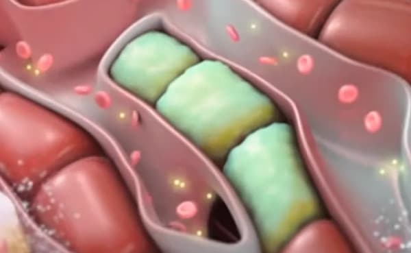 Dita Botërore e Hepatitit