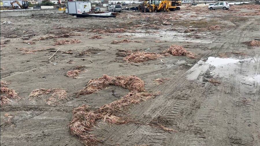 Pas reshjeve, plazhi i vjetër në Vlorë mbushet me mbeturina dhe leshterikë