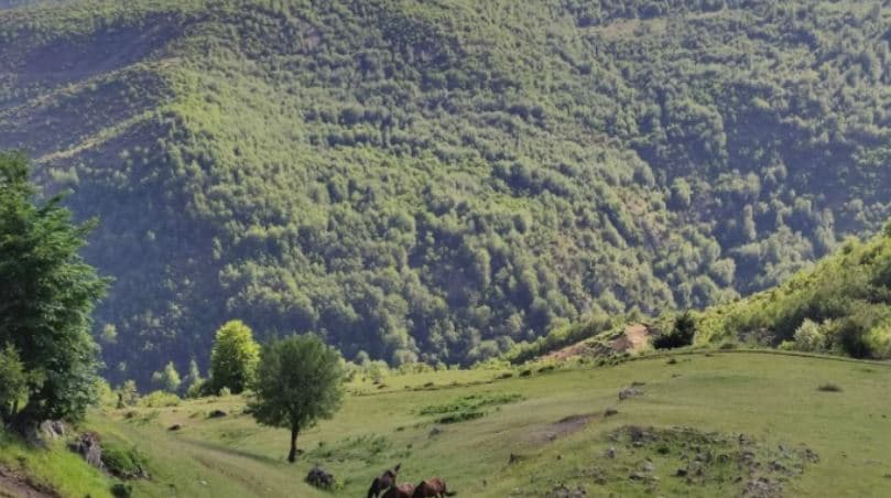 Featured image for Zhduken dy turistë gjermanë në malin e Polisit në Librazhd