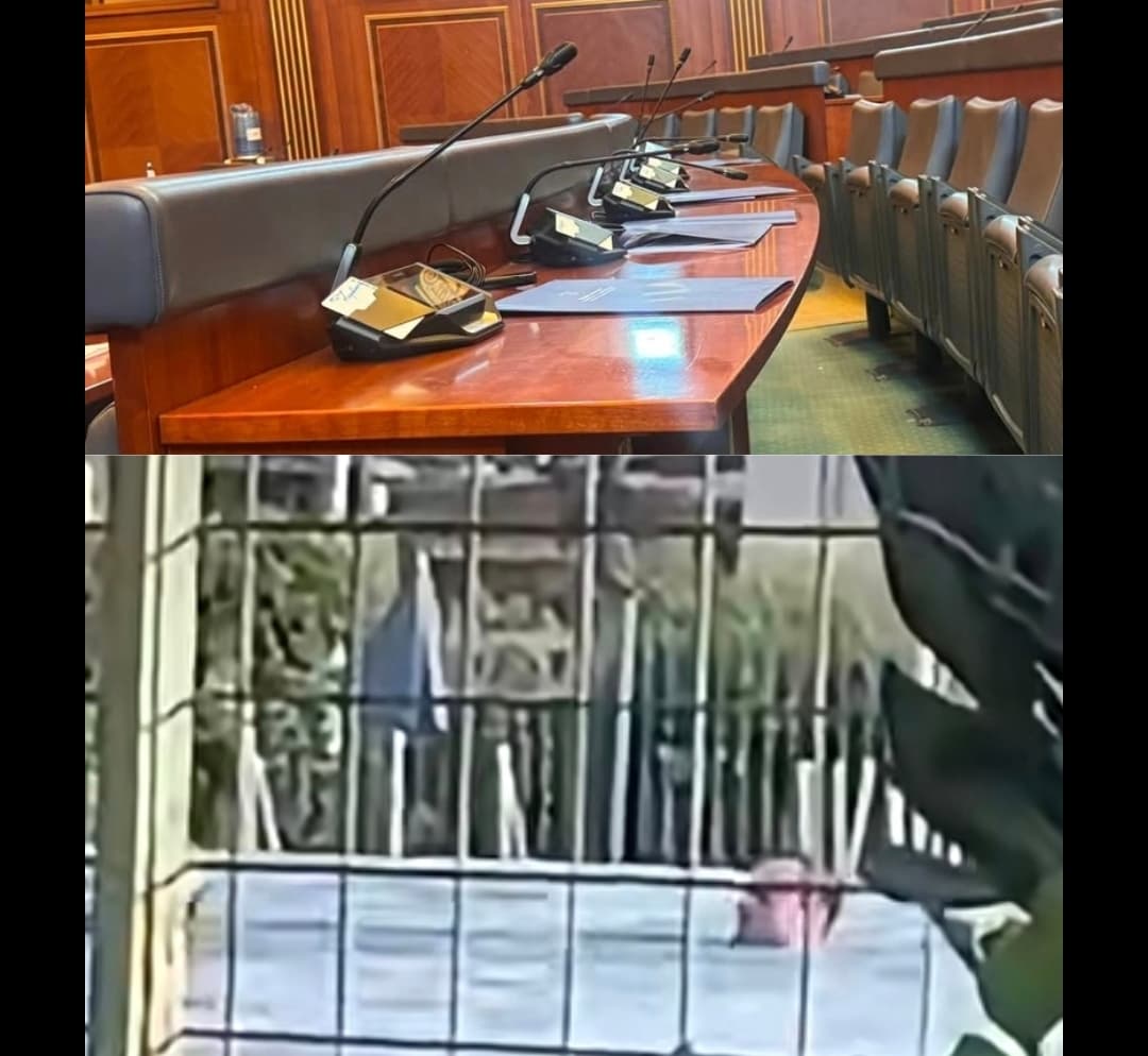 Ganimete Musliu publikon video, ne po e presim në parlament e Albin Kurti po noton në pishinë të Bajës së Malishevës ( VIDEO)