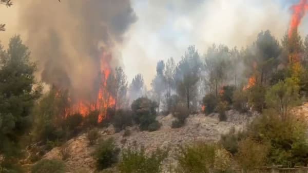 Zjarret në Shqipëri: 15 vatra, 7 ende aktive, ndërhyrje me mbi 200 forca dhe mjete nga ajri