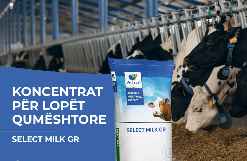 AUV tërheq produktin “SELECT MILK GR”, intensifikohen kontrollet për aflatoksinë