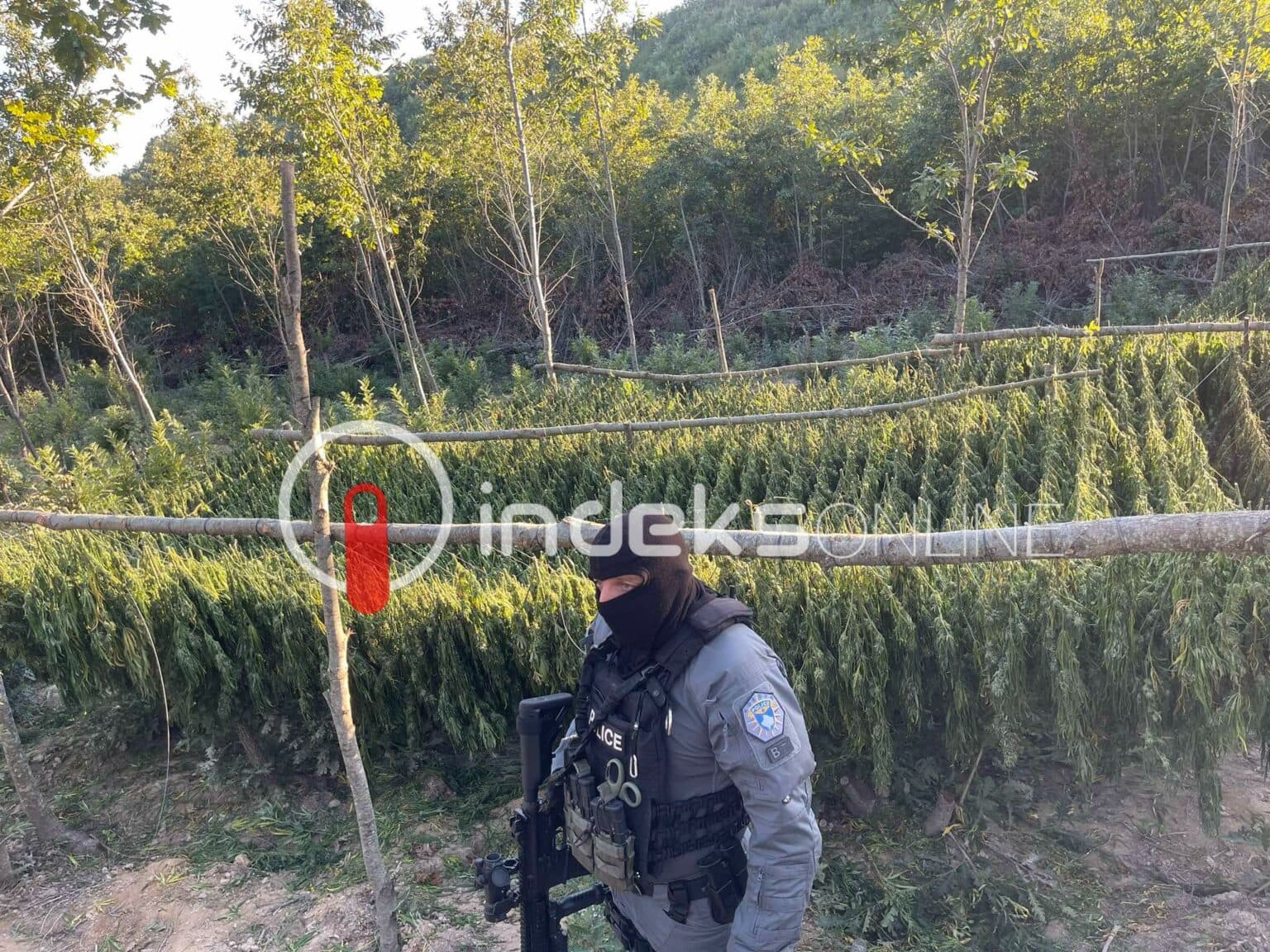 Nga kërcënimet ndaj prokurorit Qavolli, deri tek aksioni madhor antidrogë/ Këta janë të akuzuarit për mbi 1 ton drogë në Pejë