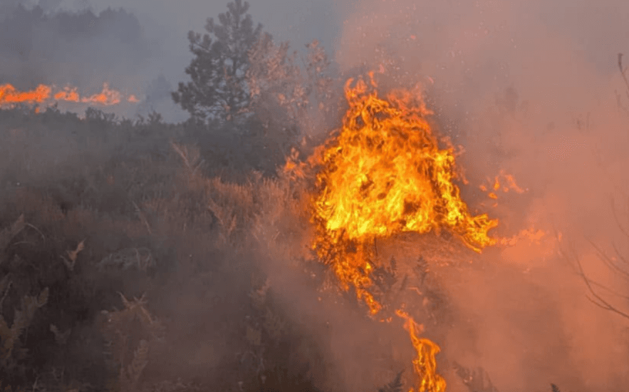 Featured image for Përfshihen nga flakët kodrat në Shkodër, rrezikohen banesat