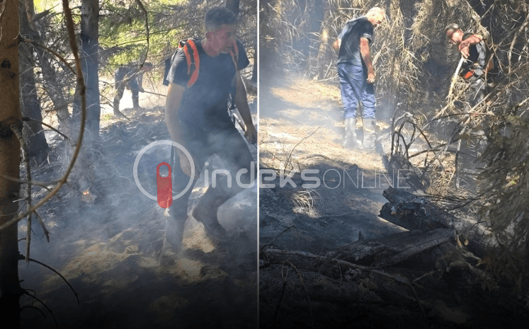 Digjen malet e Koshares, intervenojnë zjarrfikësit