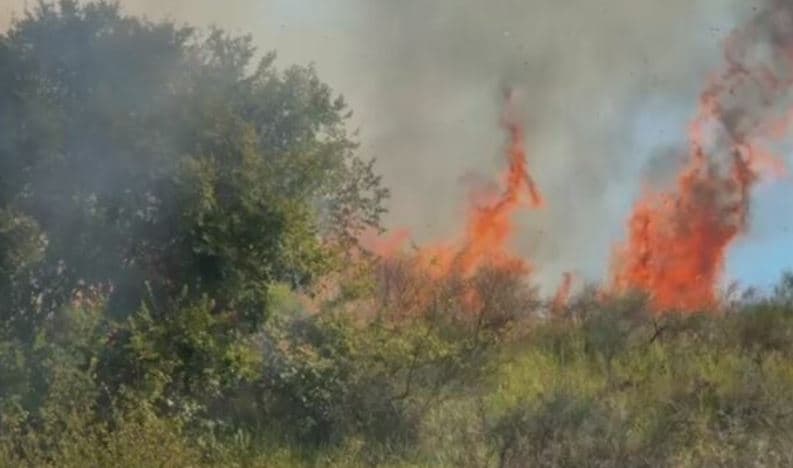 I moshuari humb jetën duke u përpjekur t’i shuajë flakët në Mallakastër të Shqipërisë