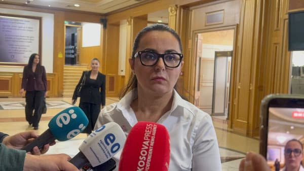 LDK pret sqarime për ligjin për Specialen: Apeli mbetet beteja kryesore