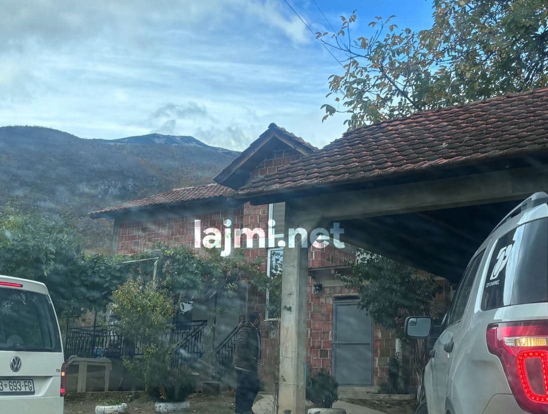 Nis inspektimi për rastin e Arlinda Zekajt, gjykata do të shqyrtojë vendimet e marra