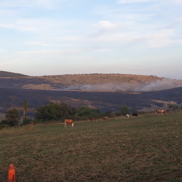 Digjen fushat në fshatin Bajsk të Vushtrrisë (FOTO)
