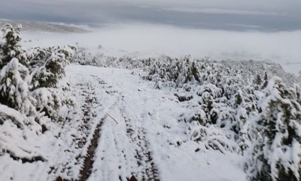 BEFASI! Ja kur pritet të bie bora e parë në Kosovë