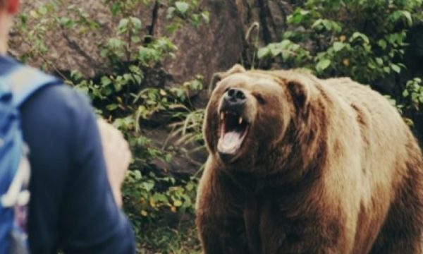 Ky është banori i sulmuar nga ariu në Kukës, publikohet foto