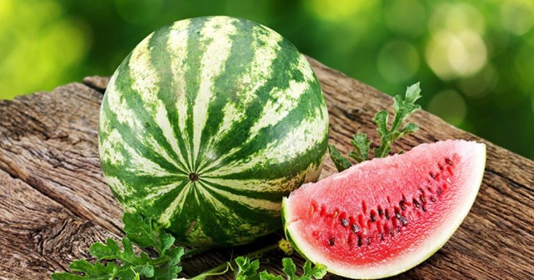 Pse nuk duhet ta fusim shalqirin në frigorifer